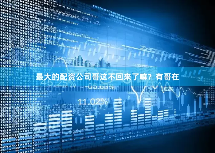 最大的配资公司哥这不回来了嘛？有哥在